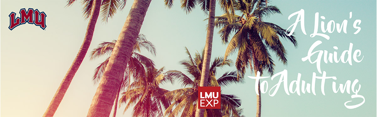 Customized front and back cover example 2